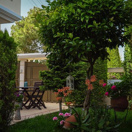 Cozy Artemis House Near Athens Airport Διαμέρισμα Εξωτερικό φωτογραφία
