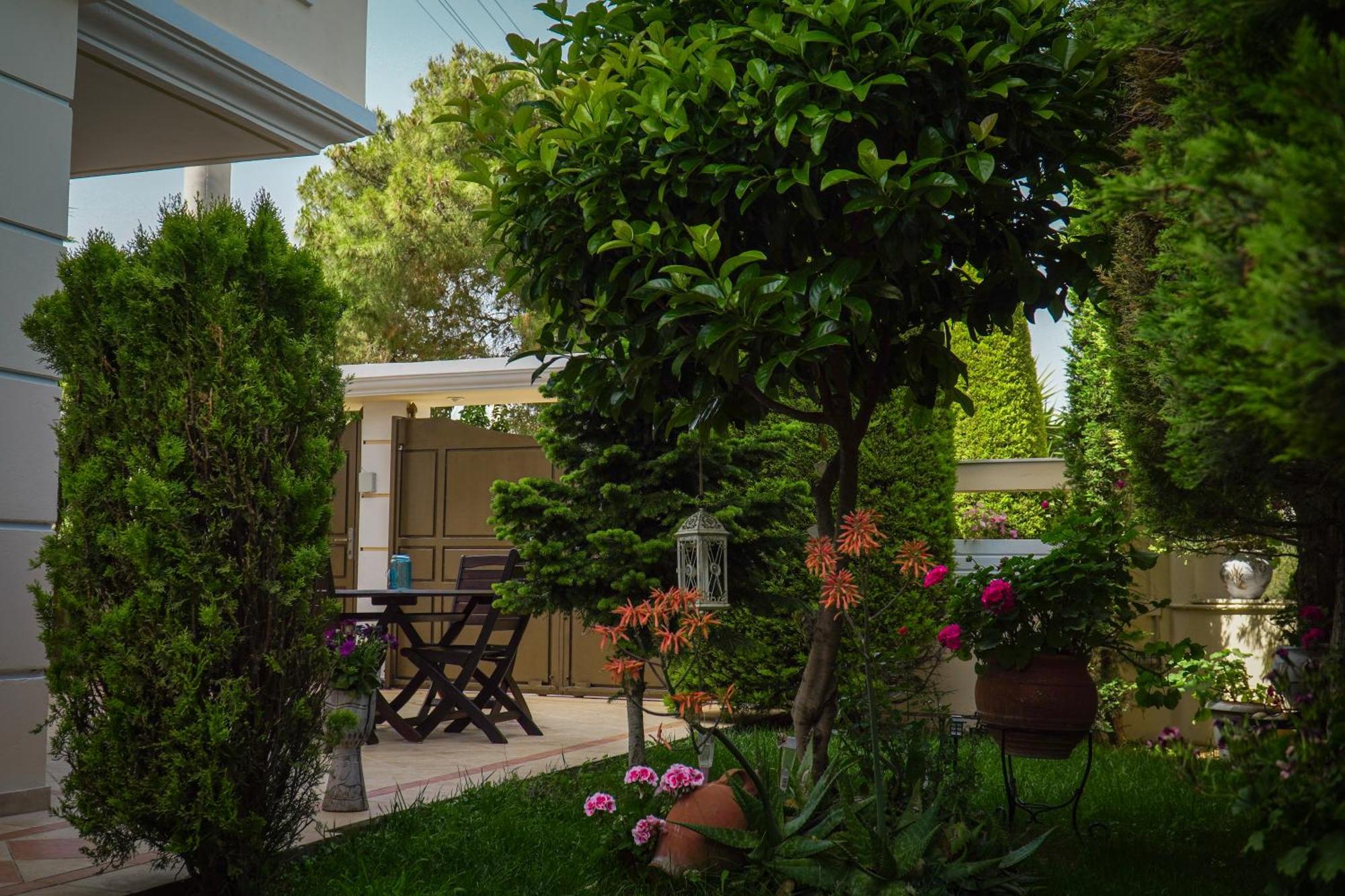 Cozy Artemis House Near Athens Airport Διαμέρισμα Εξωτερικό φωτογραφία